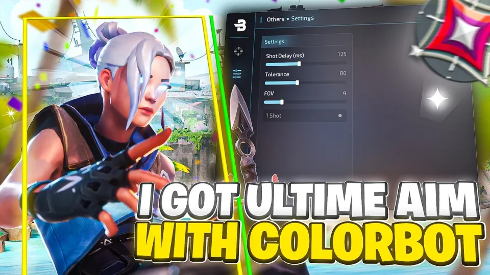 This Is Why You Need This Valorant Colorbot !! INSANE